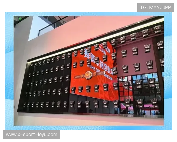 UFC击打声响遍全馆，震撼每一寸热血